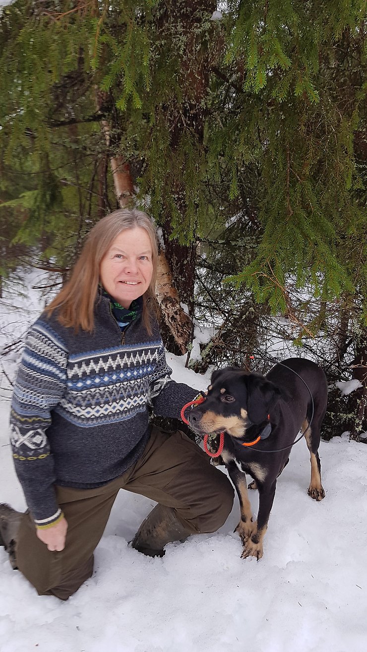 Daniel Strandlund, Centerpartiet Älvsbyn